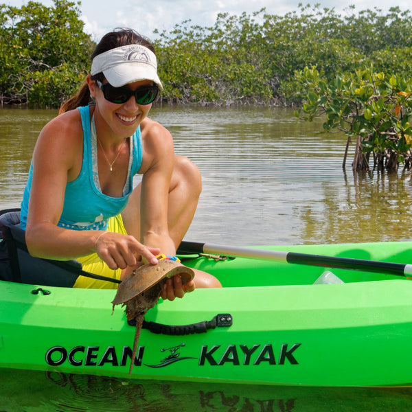 2 Hr | Guided Backcountry Mangrove Kayak & SUP Tour