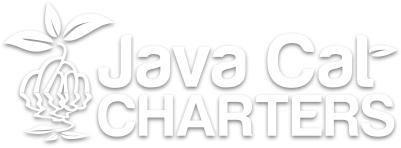 java cat charters logo