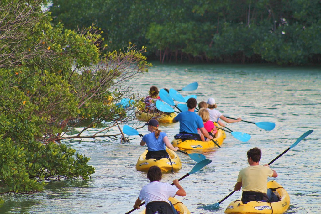 charter paddle tour group